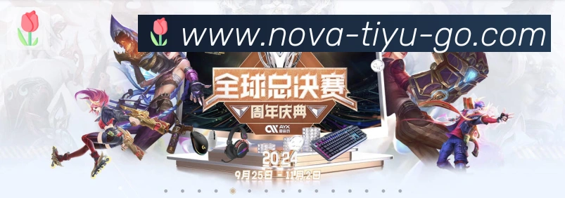 未来规划